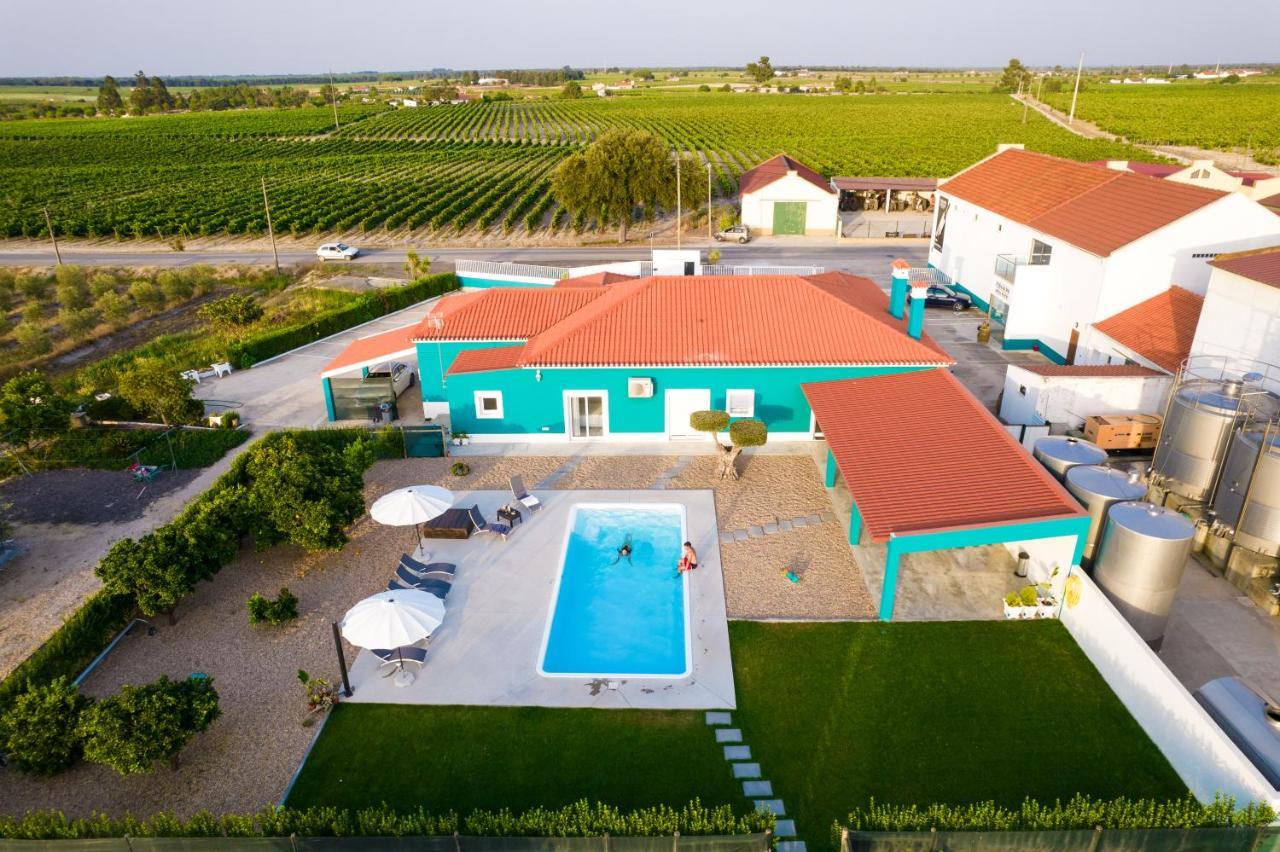 Delmira Vineyard House Villa Aguas de Moura Exterior photo